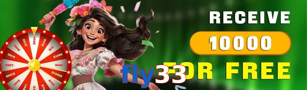 Fly33